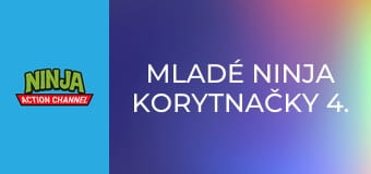 Mladé ninja korytnačky 4. séria, 22. časť