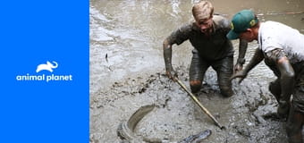 No nazdar! Irwinovi zasahují S2E1 No nazdar! Irwinovi zasahují S2E1