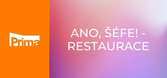 Ano, šéfe! - Restaurace U Rytíře – Liberec