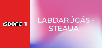Labdarúgás - Steaua - Barcelona