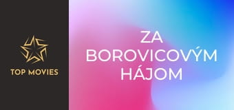 Za borovicovým hájom