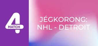 Jégkorong: NHL - Detroit Red Wings – Vegas Golden Knights