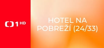 Hotel na pobreží (24/33)