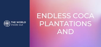 Nekonečné plantáže koky a opekané morské prasiatko na špíze. Bolívia.