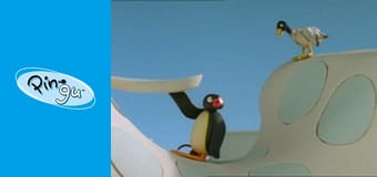 The Pingu Show Sezon 1 Odcinek 9