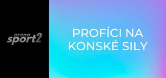Profíci na konské sily