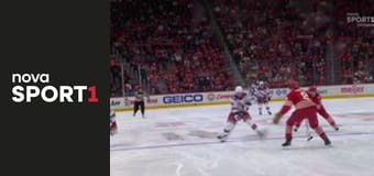 NHL: Detroit Red Wings - New York Rangers