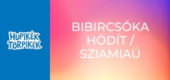 Bibircsóka hódít / Sziamiaú csengettyűje