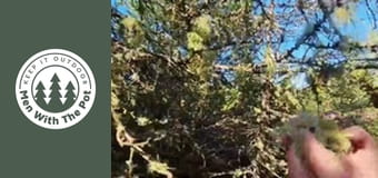 Пилешки гирос Пилешки гирос