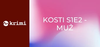 Kosti S1E2 - Muž v aute