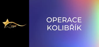 Operace kolibřík
