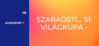 Szabadstílusú sí: Világkupa - Síkrossz