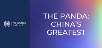 A panda: Kína legnagyobb kincse. Élet egy hegyi faluban. Kína.