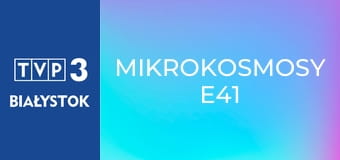 Mikrokosmosy E41