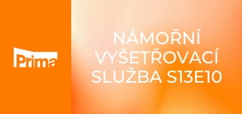 Námořní vyšetřovací služba S13E10 - Pokrevní bratři