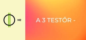 A 3 testőr - Stradivari legendája