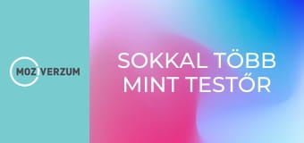 Sokkal több mint testőr