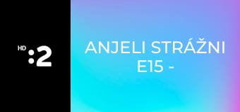 Anjeli strážni E15 - Marián Miezga