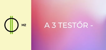 A 3 testőr - Acéltörő kisasszony