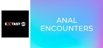 Anal Encounters
