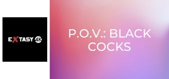 P.O.V.: Black Cocks