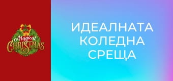 Идеалната коледна среща