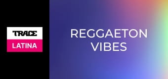 Reggaeton Vibes