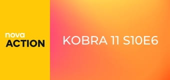 Kobra 11 S10E6