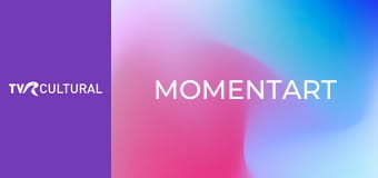 MomentArt