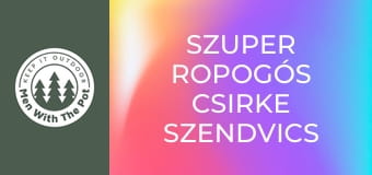 Szuper ropogós csirke szendvics erdőben készített majonézzel