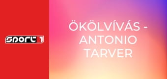 Ökölvívás - Antonio Tarver vs Eric Harding, ism., HD