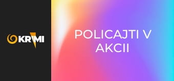 Policajti v akcii