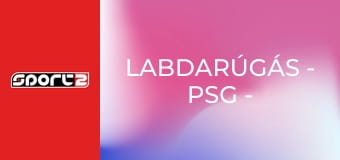 Labdarúgás - PSG - Chelsea