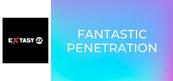 Fantastic Penetration