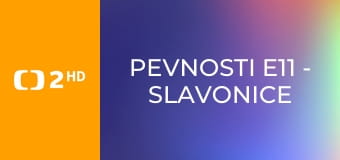 Pevnosti E11 - Slavonice
