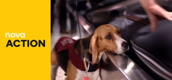 Strážci hranic: Austrálie S15E7