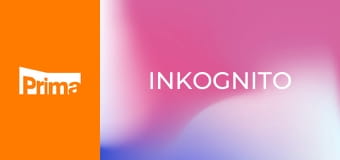 Inkognito