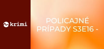 Policajné prípady S3E16 - Zosnulá suseda, Prepadnutie na zastávke, Neodbytný bezdomovec, Domáce násilie