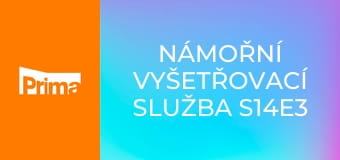 Námořní vyšetřovací služba S14E3 - Skokanka