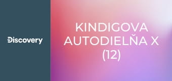 Kindigova autodielňa X (12)