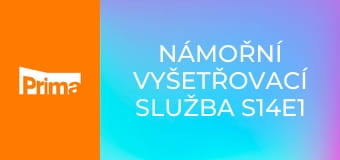 Námořní vyšetřovací služba S14E1 - V utajení
