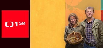 Co naše babičky uměly a na co my jsme zapomněli - Honza nese buchty