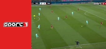 Fotbal - Bologna - Salzburg