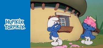 A varázsló tanonc / A hiúság ára