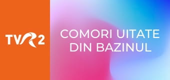 Comori uitate din bazinul Mediteranei - Muzeul de arheologie submarină din Cartagena