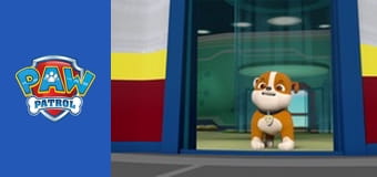 Patrula căţeluşilor Sezonul 2 Episodul 15