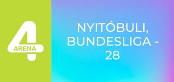 NyitóBuLi, Bundesliga - 28. forduló, felvezető műsor
