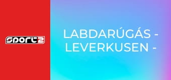 Labdarúgás - Leverkusen - Arsenal