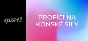 Profíci na konské sily