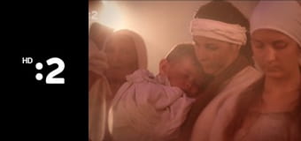 Katedrála zázrakov